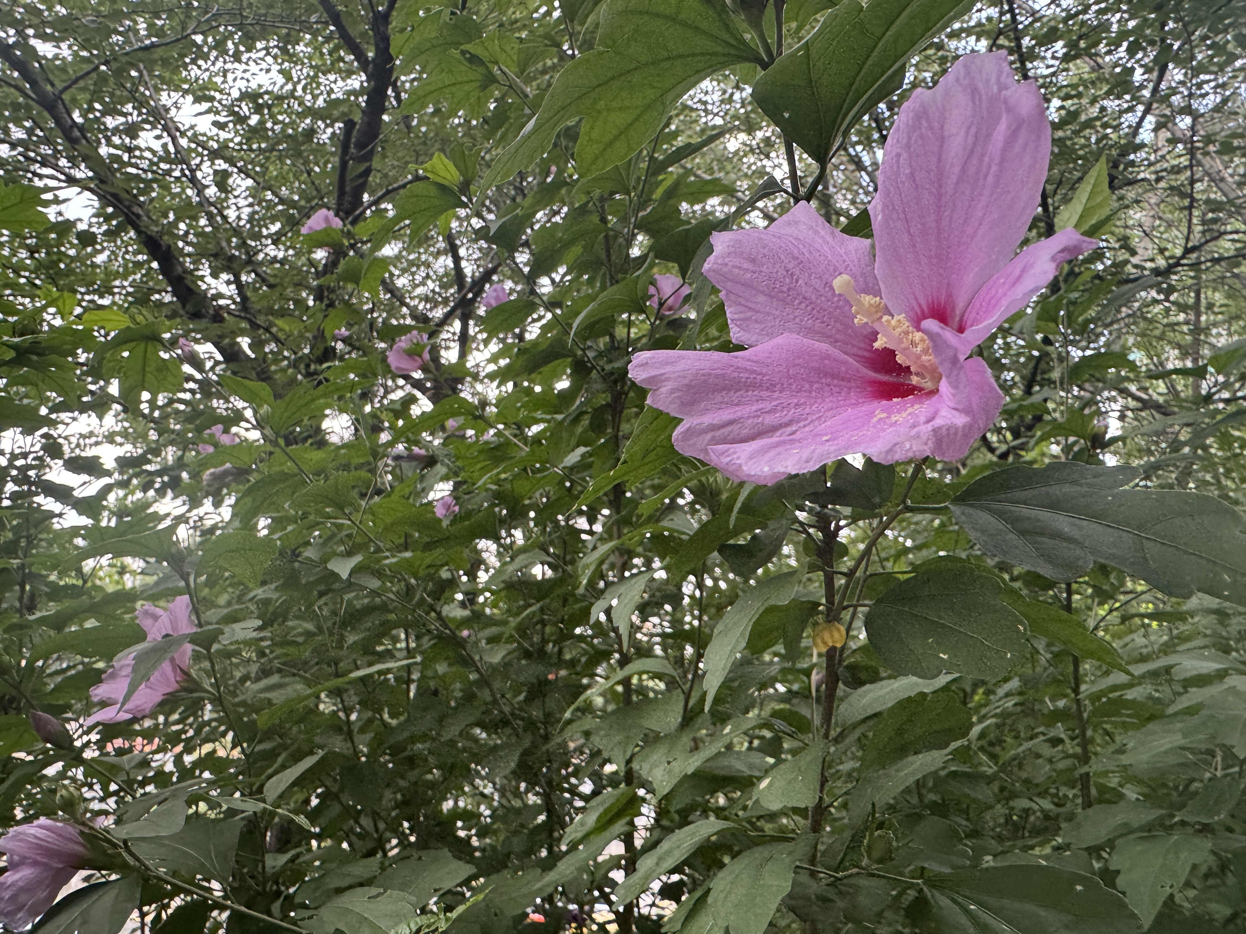 IMG_1859.jpeg