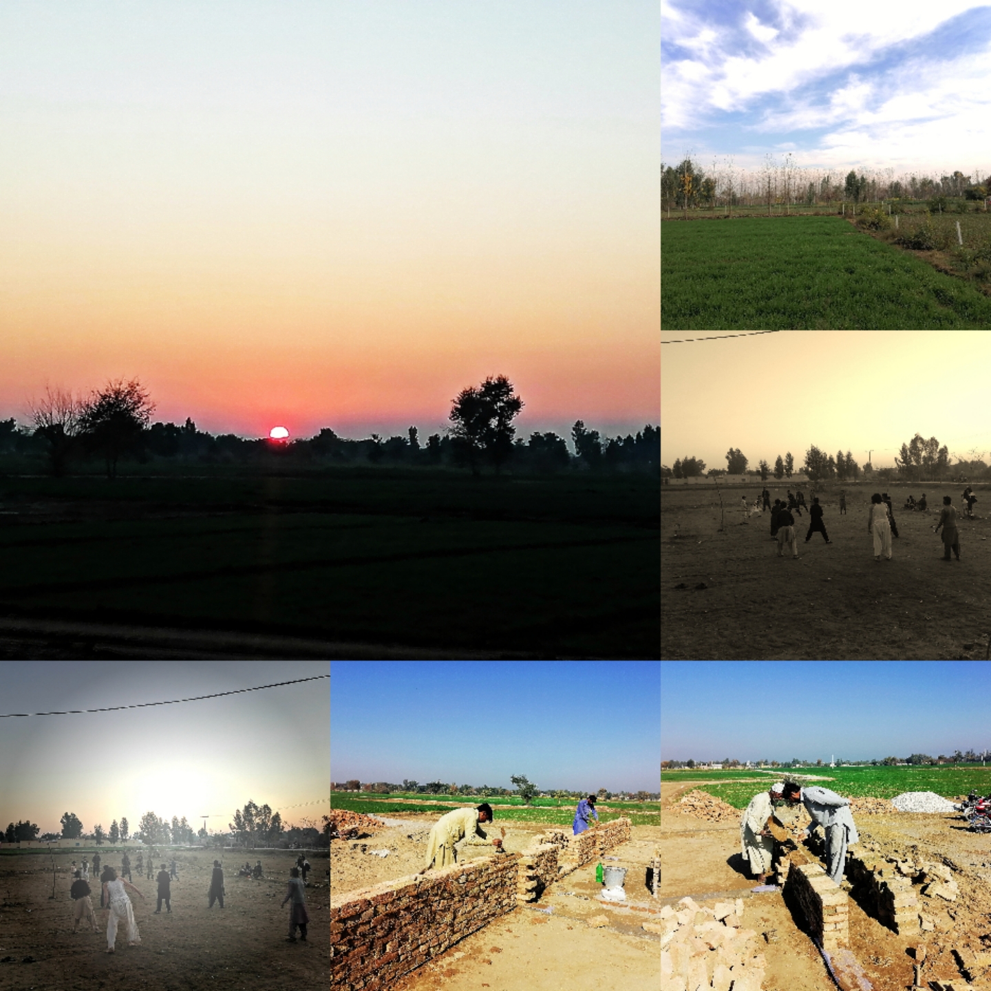 Collage_20220113_201522.jpg