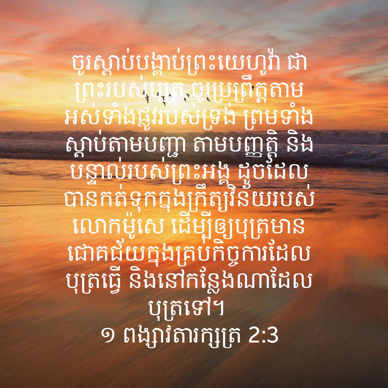 8A4429C0-0821-4B53-98C4-5DF719F8C6D9.jpeg