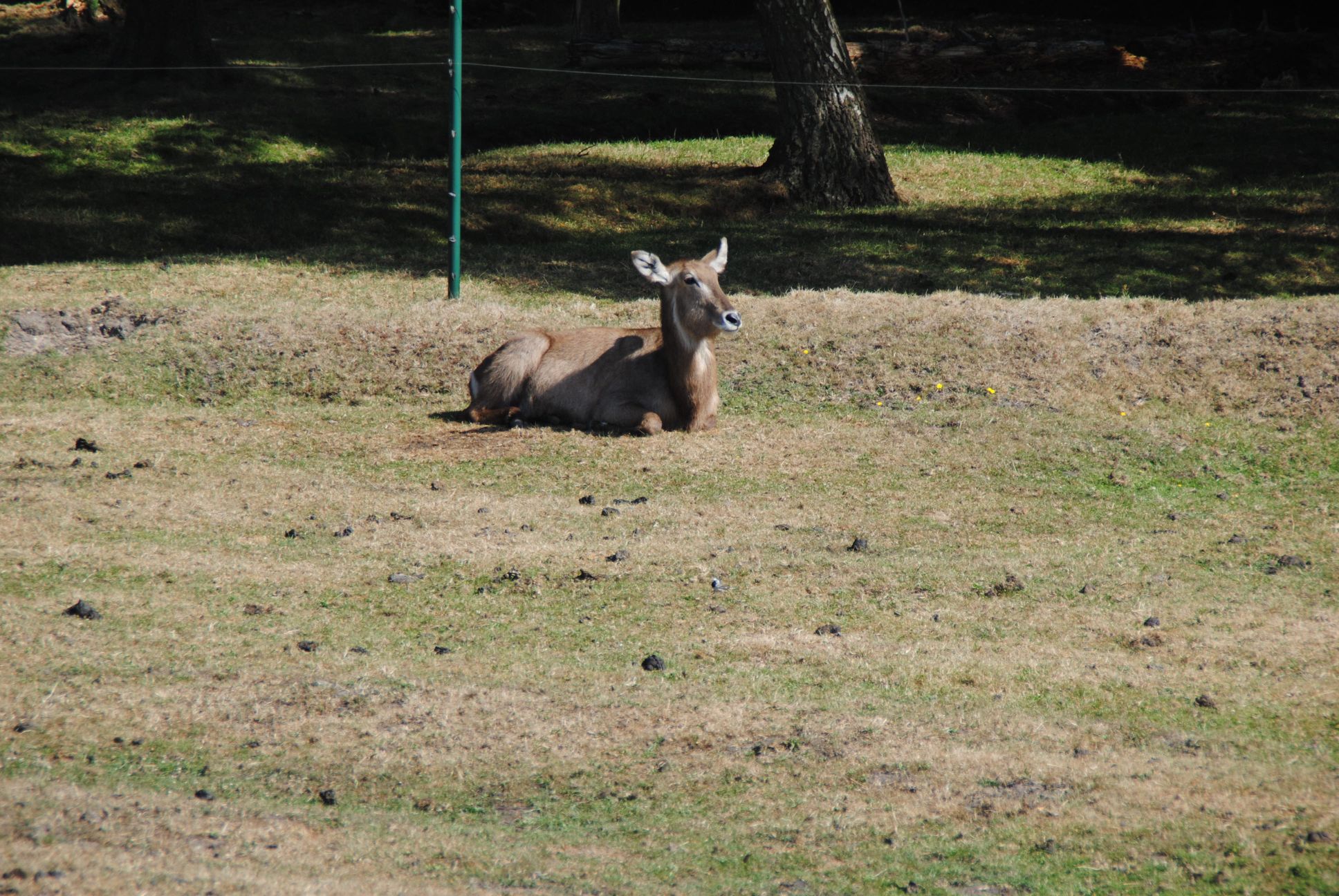 image004.jpg