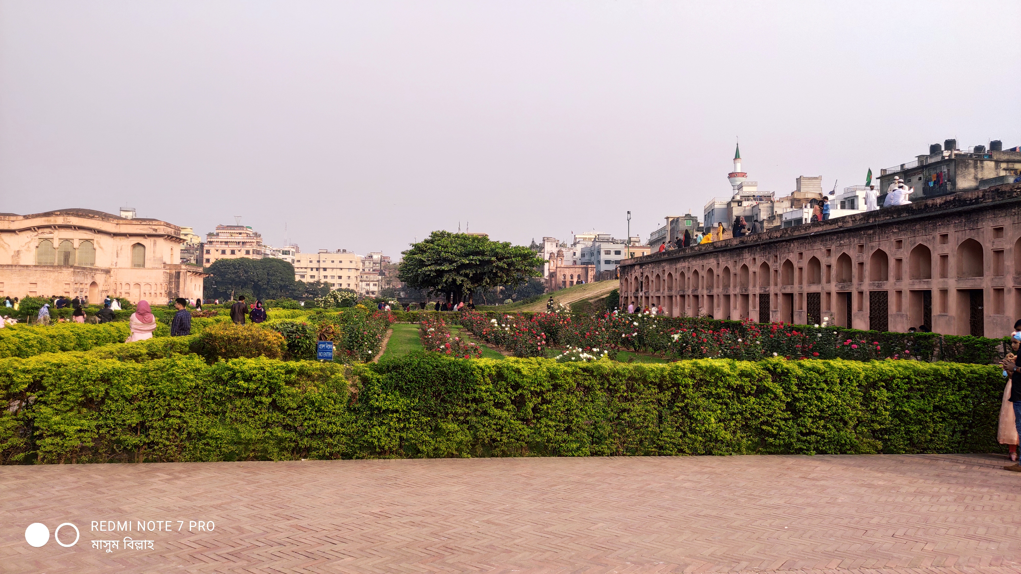 IMG_20201217_152751.jpg