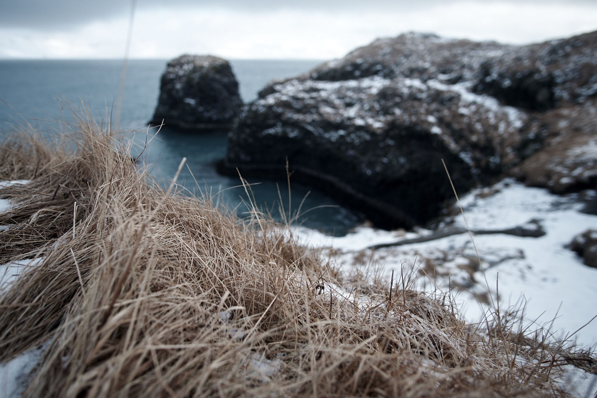 DSCF7761.jpg