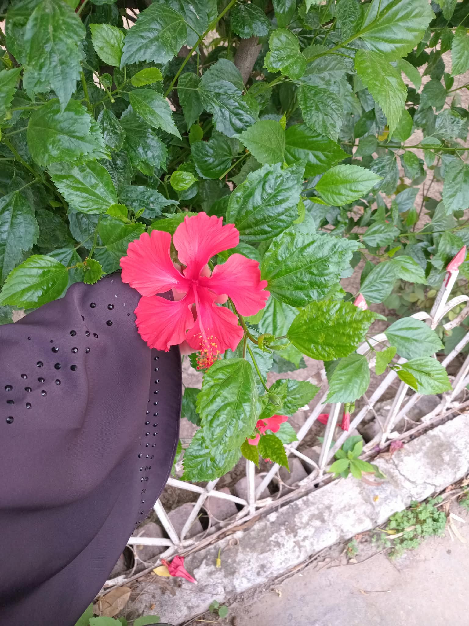 nature pic 3.jpeg