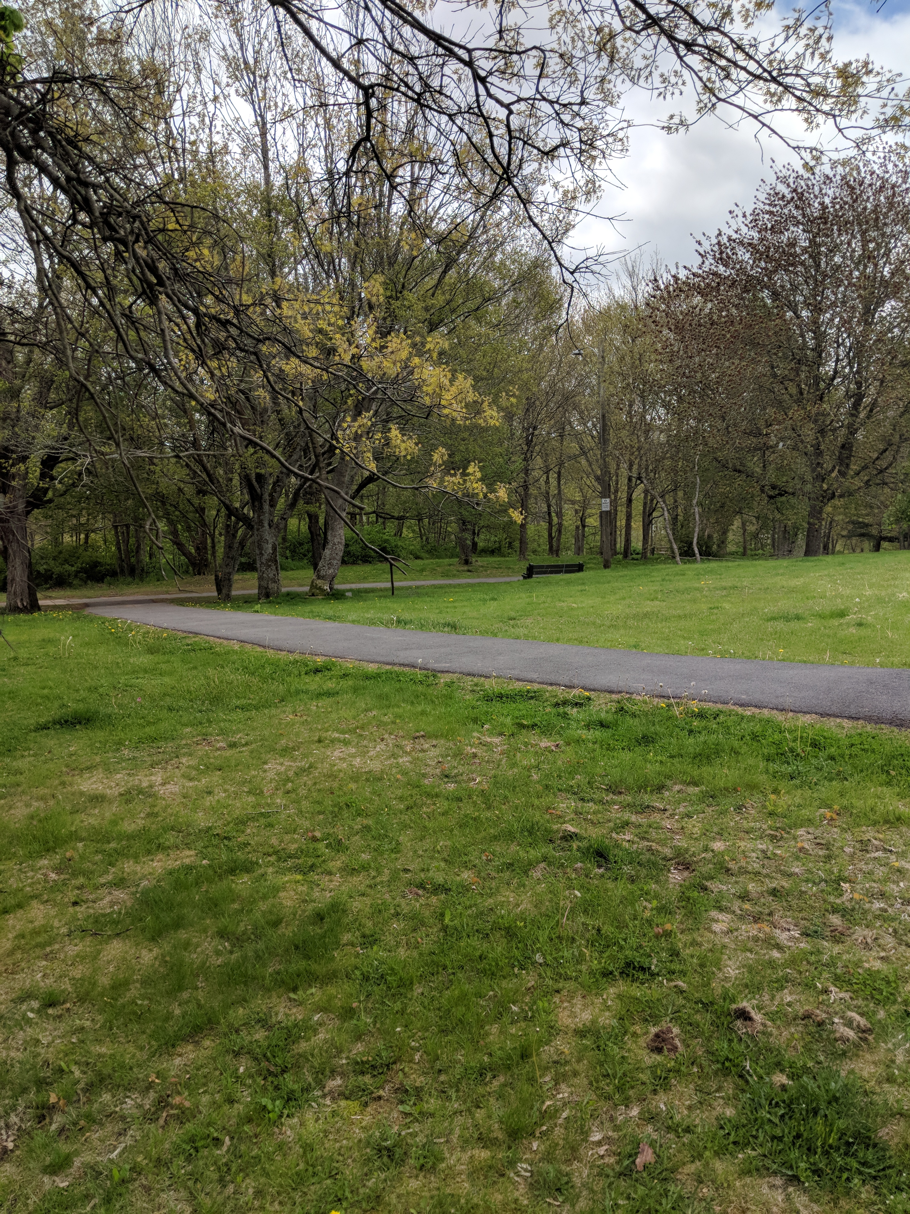 IMG_20180529_124111.jpg