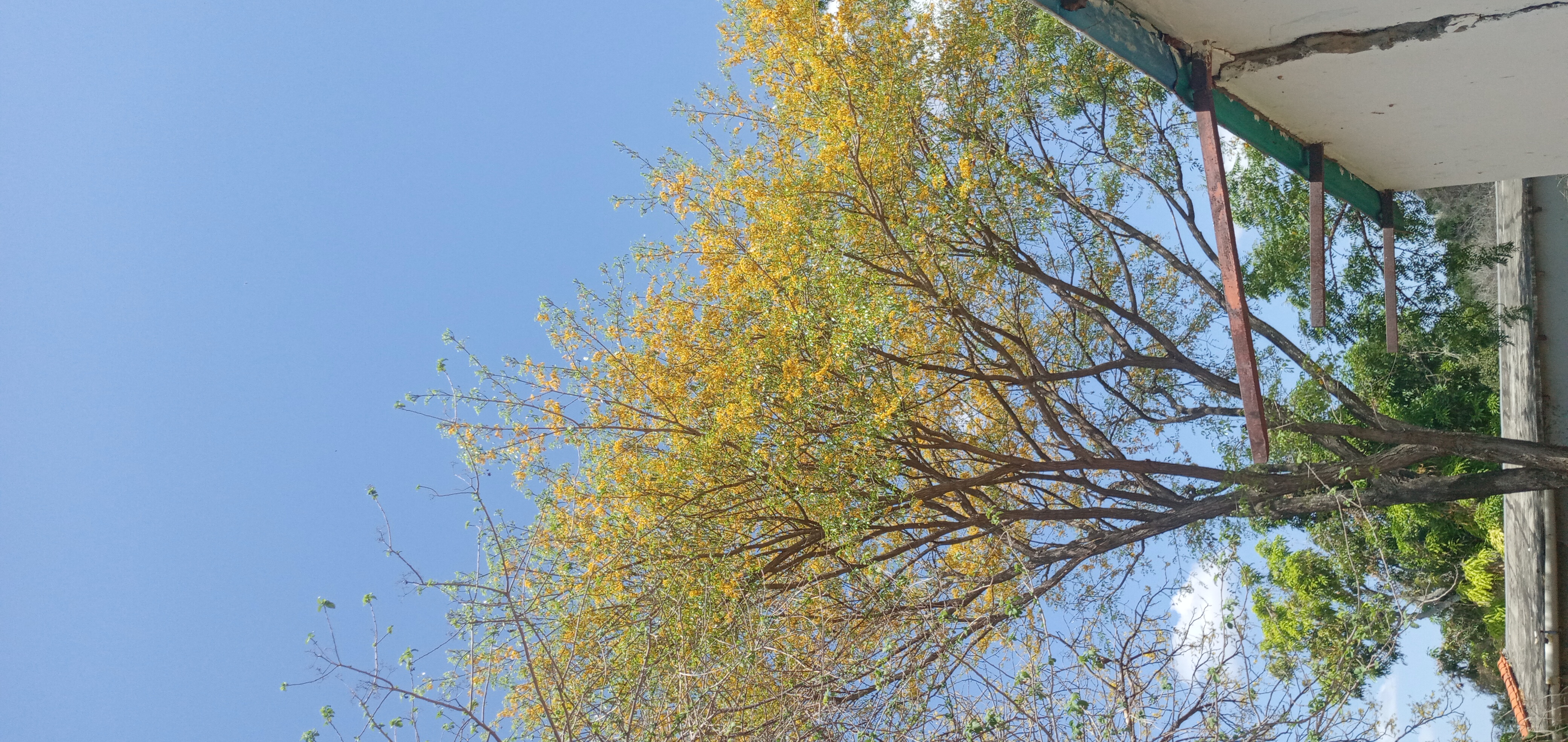20240216_124107.jpg