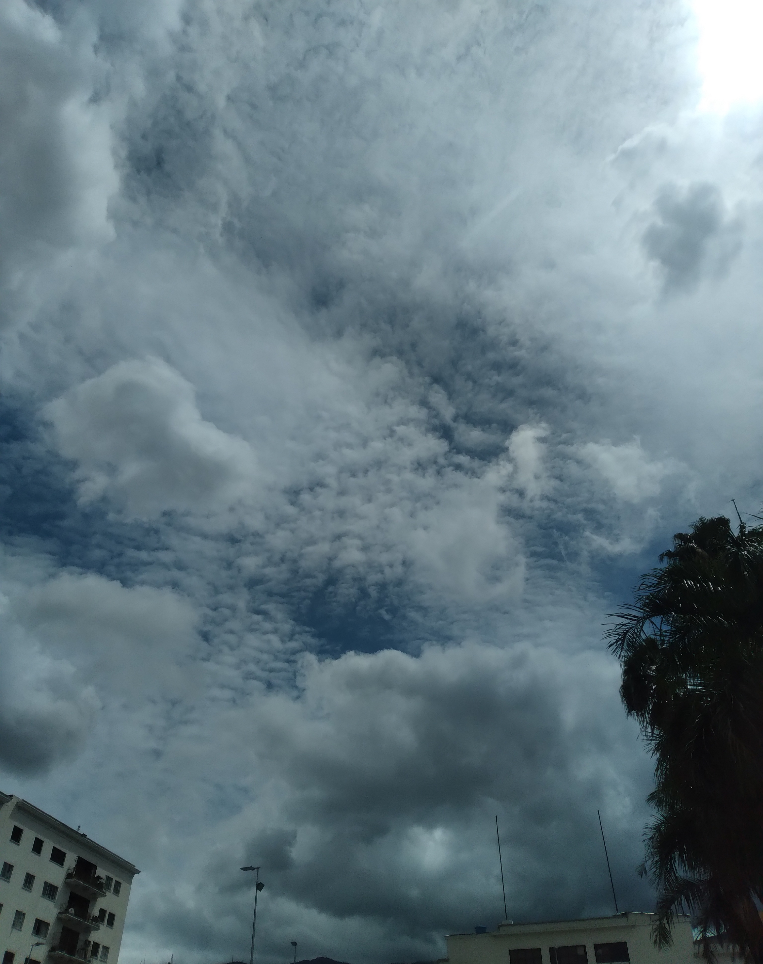 20210527_152832.jpg