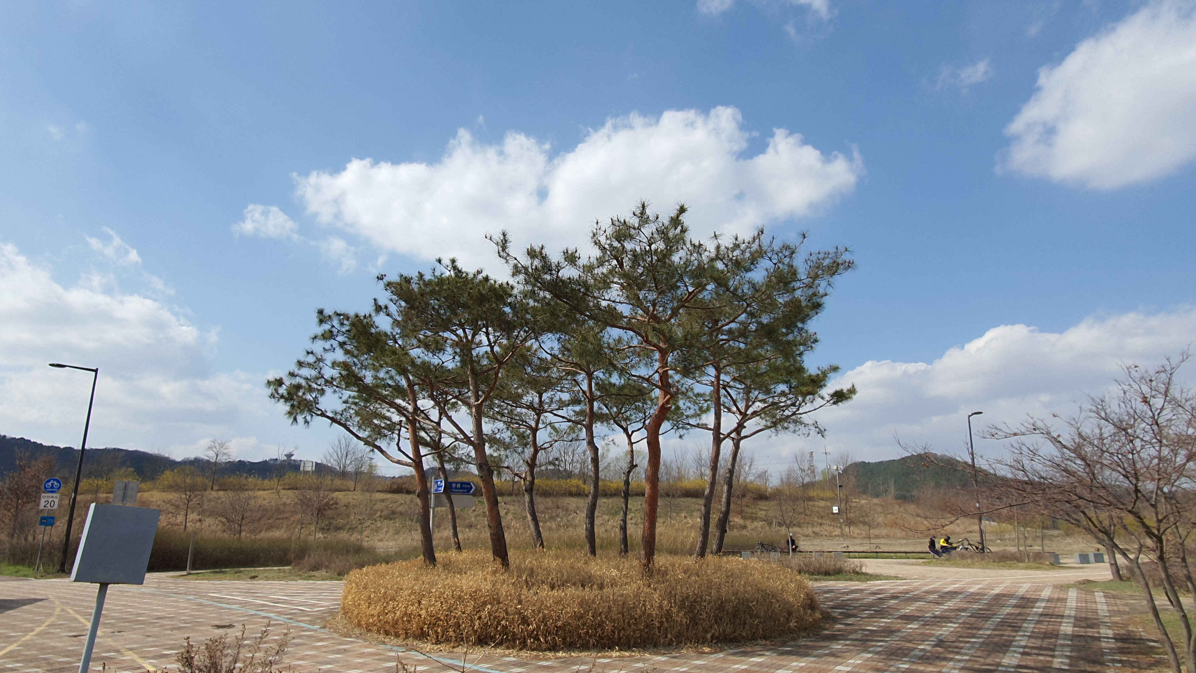 바이오 코인이지만 NKCLC는 블럭체인도 뛰어나다. — Steemit