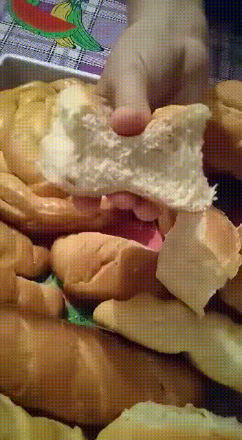 VID-20210423-WA0083.gif