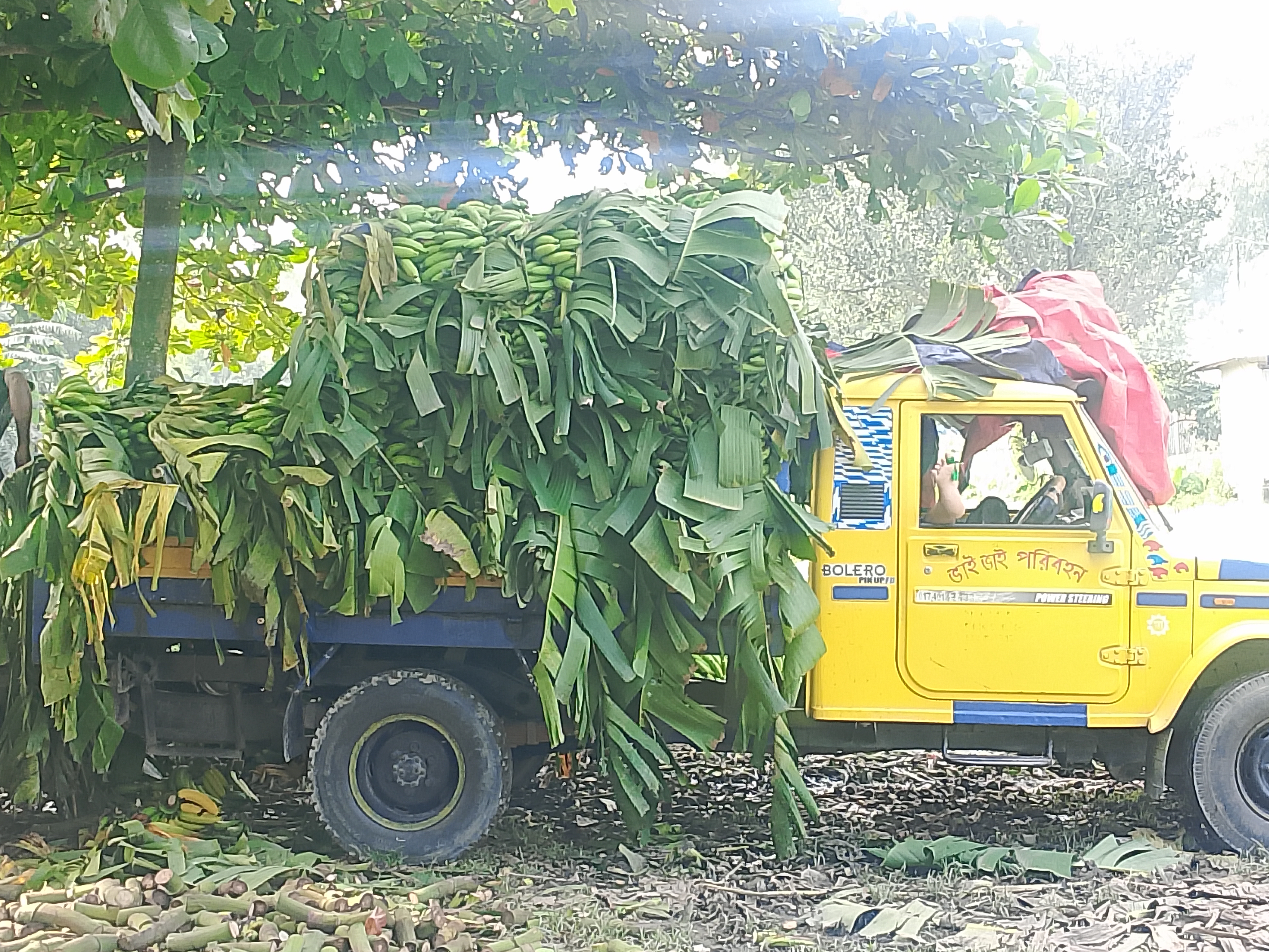 1000074750.jpg
