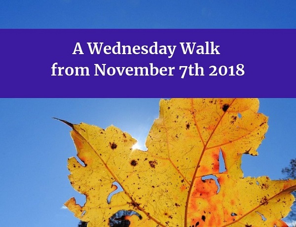 5ShzsKnKF7vqyMbEWN1vpNyzyYULYS98qgMoNjuP2tHtMQzoAoAnbysHUTiuEMkoRcsrVBqnvG6oG7hPCi1EXuMyArDga92XH8oUgbwcJgrqZXfWQX2j93vPrcpjbPuGg8oCnVh42hvhswFXwPCUX5mY (1).jpg