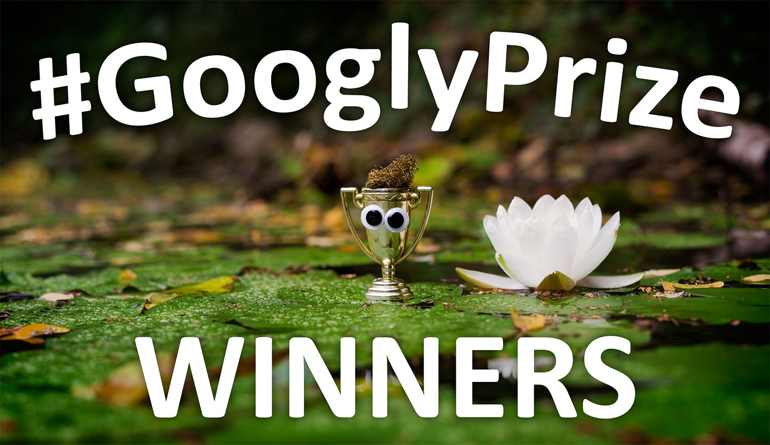 GooglyPrize GooglyEyes TitleImage Vol102