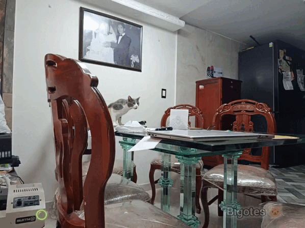 132736.gif