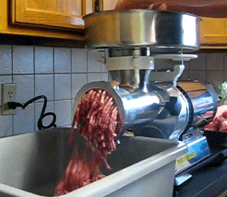 giphy (2).gif