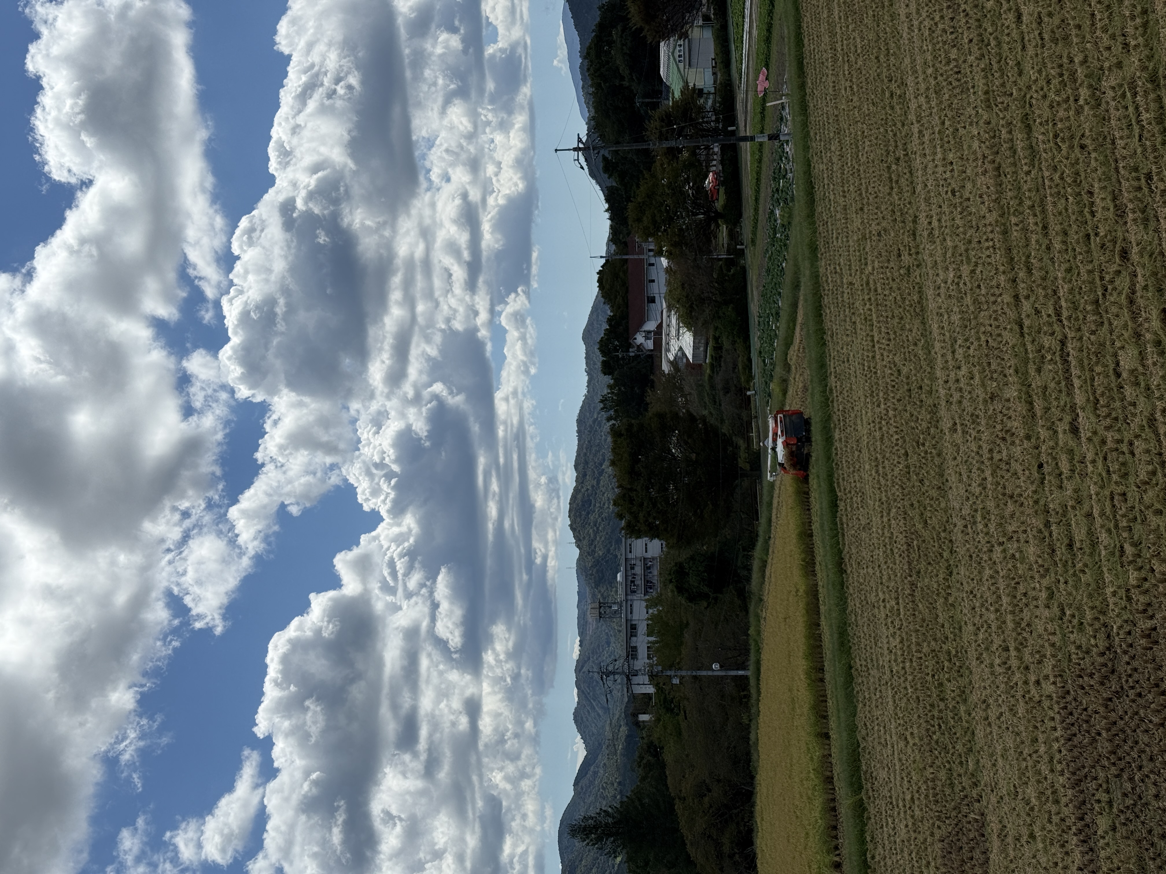 IMG_5096.jpeg