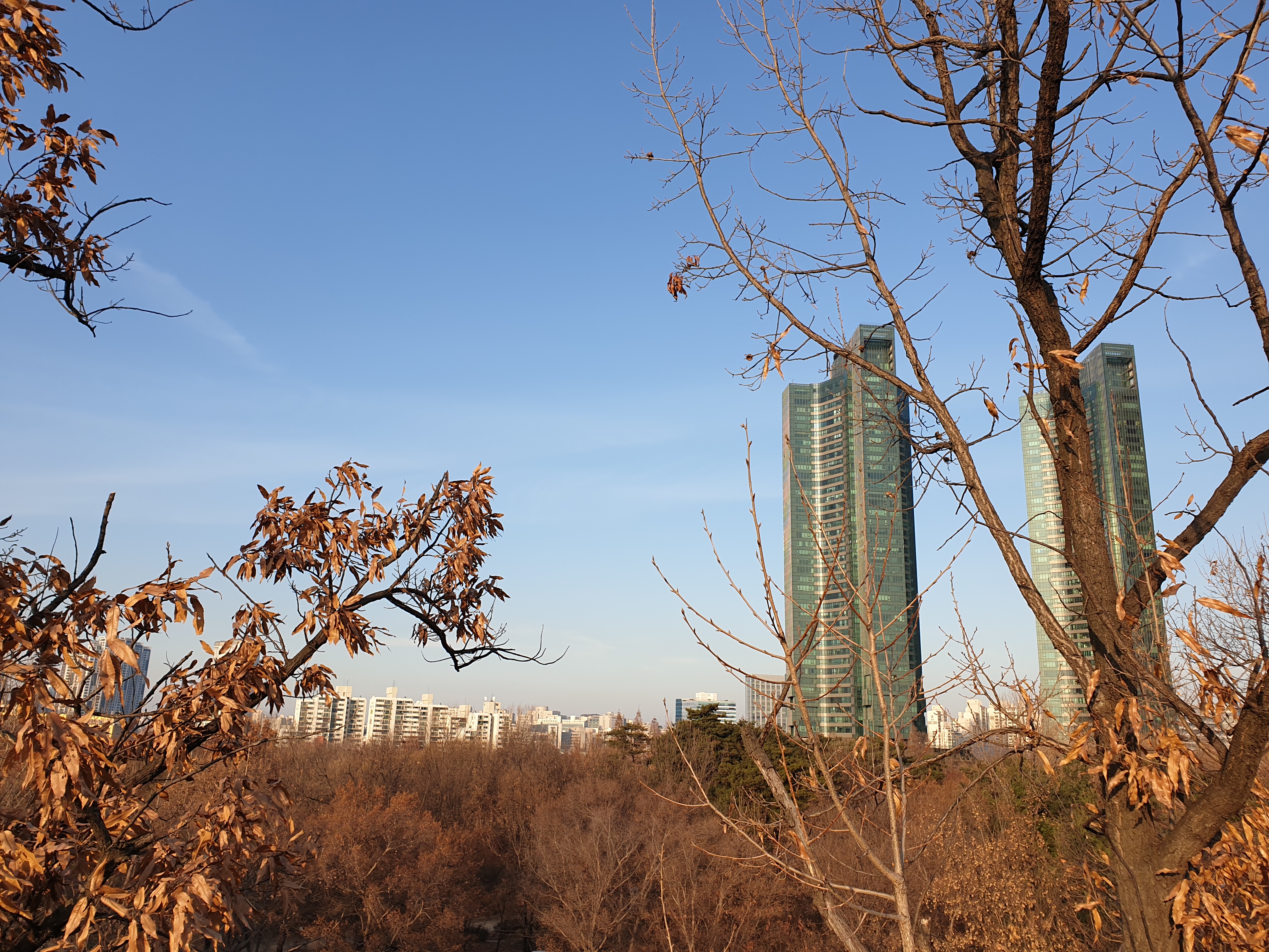20191214_155445.jpg