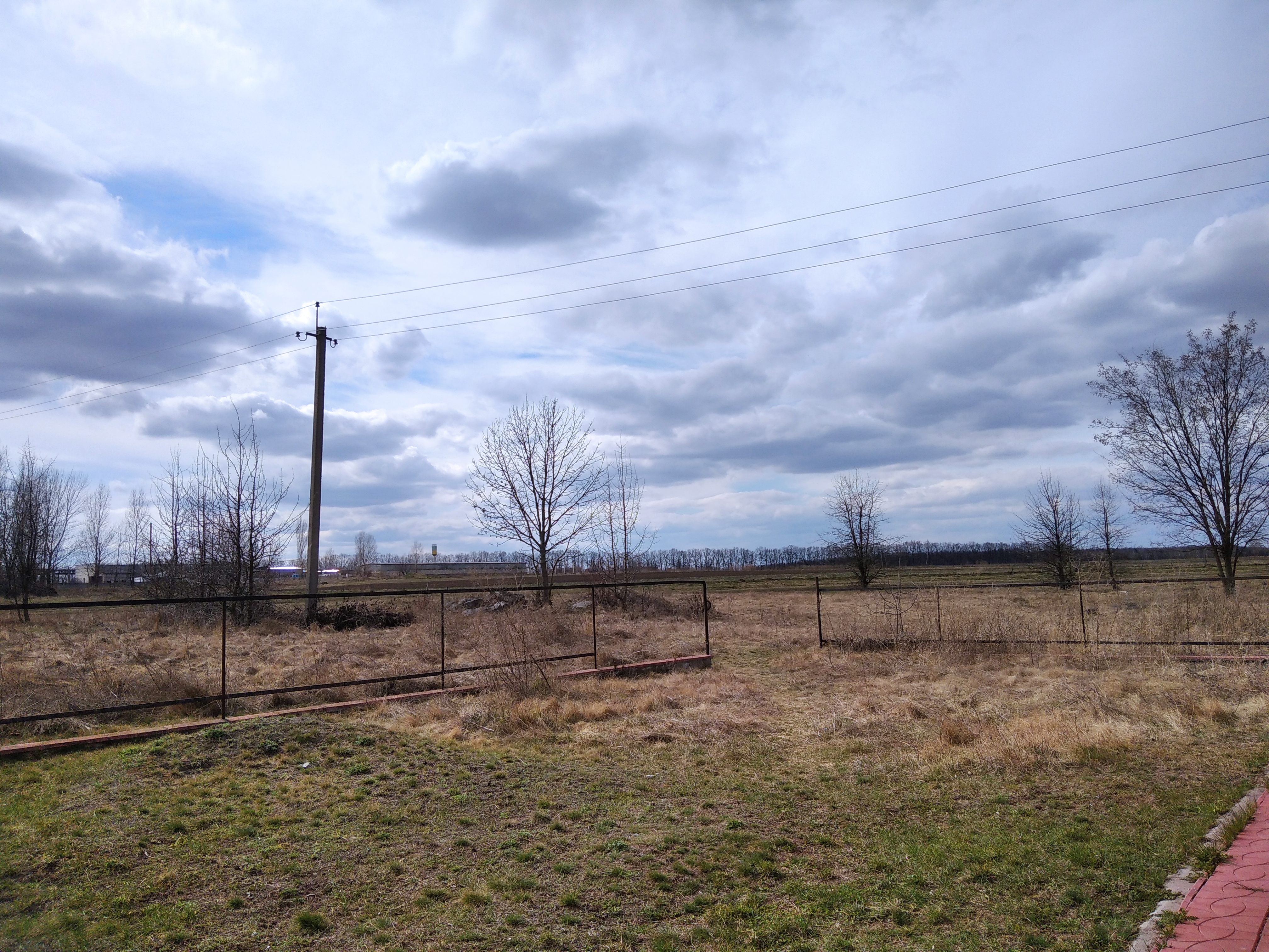 IMG_20220406_153741.jpg