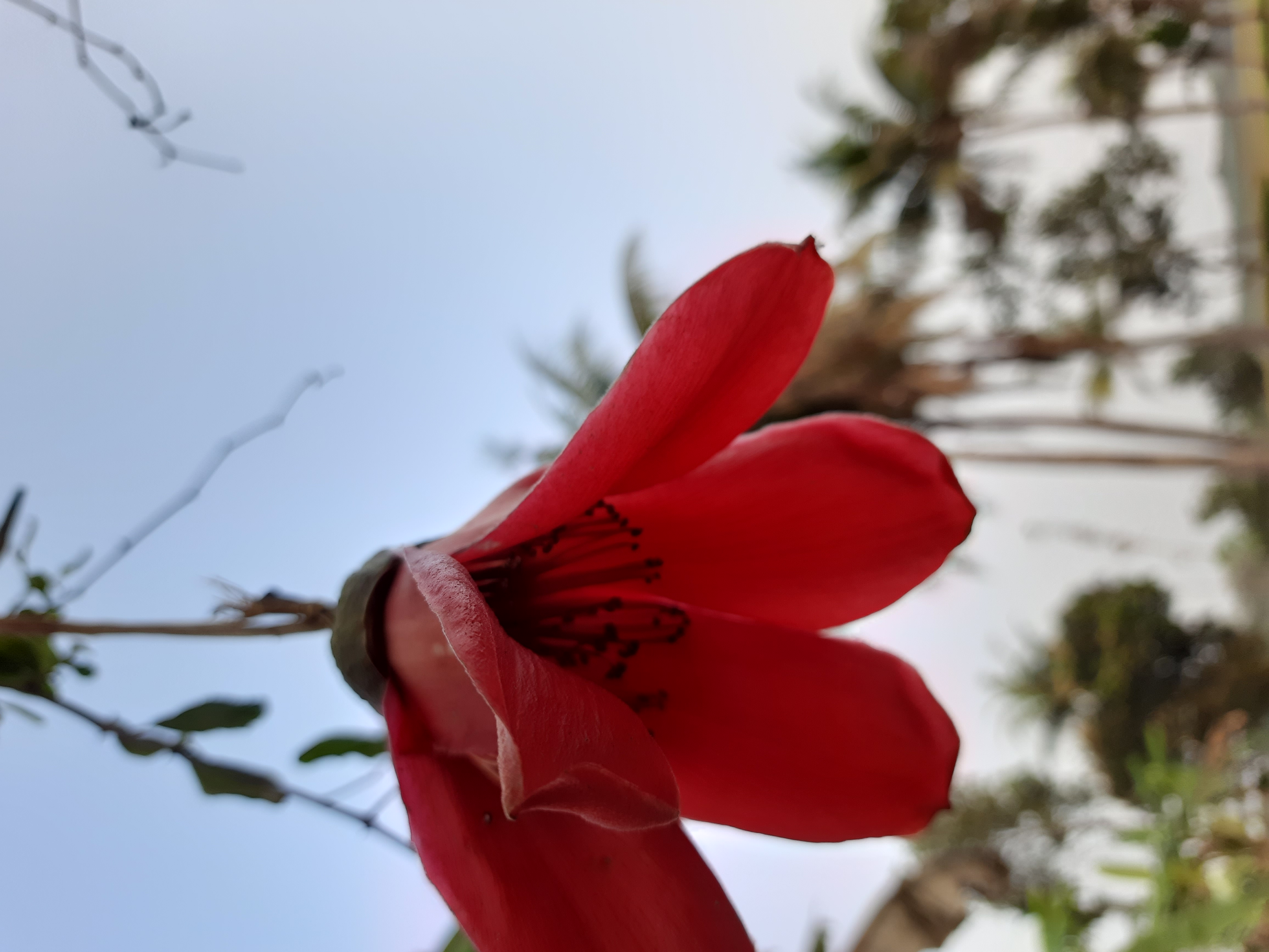 20230226_171021.jpg