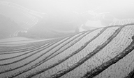 _JVW2926_192.jpg