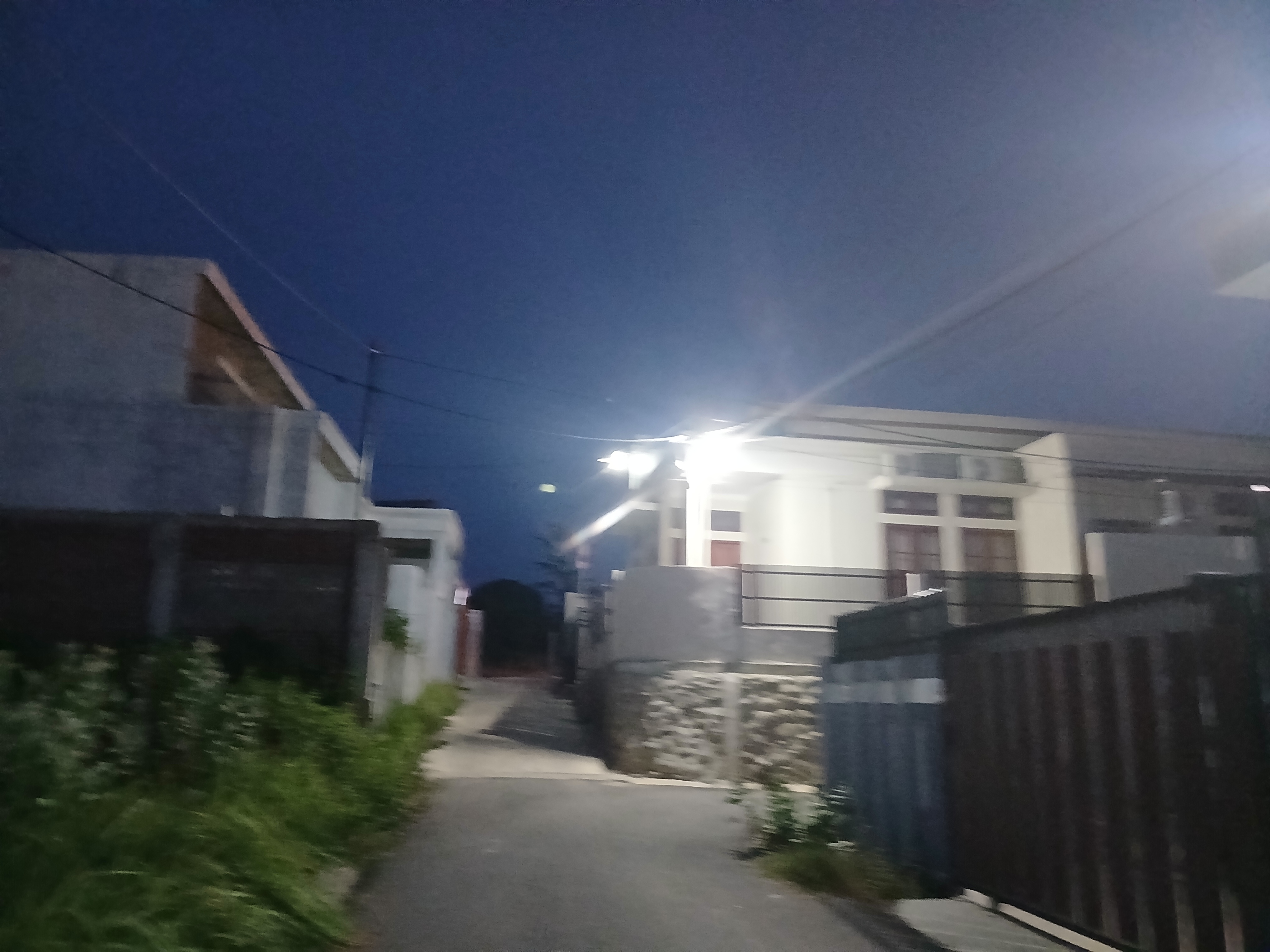 1000516089.jpg
