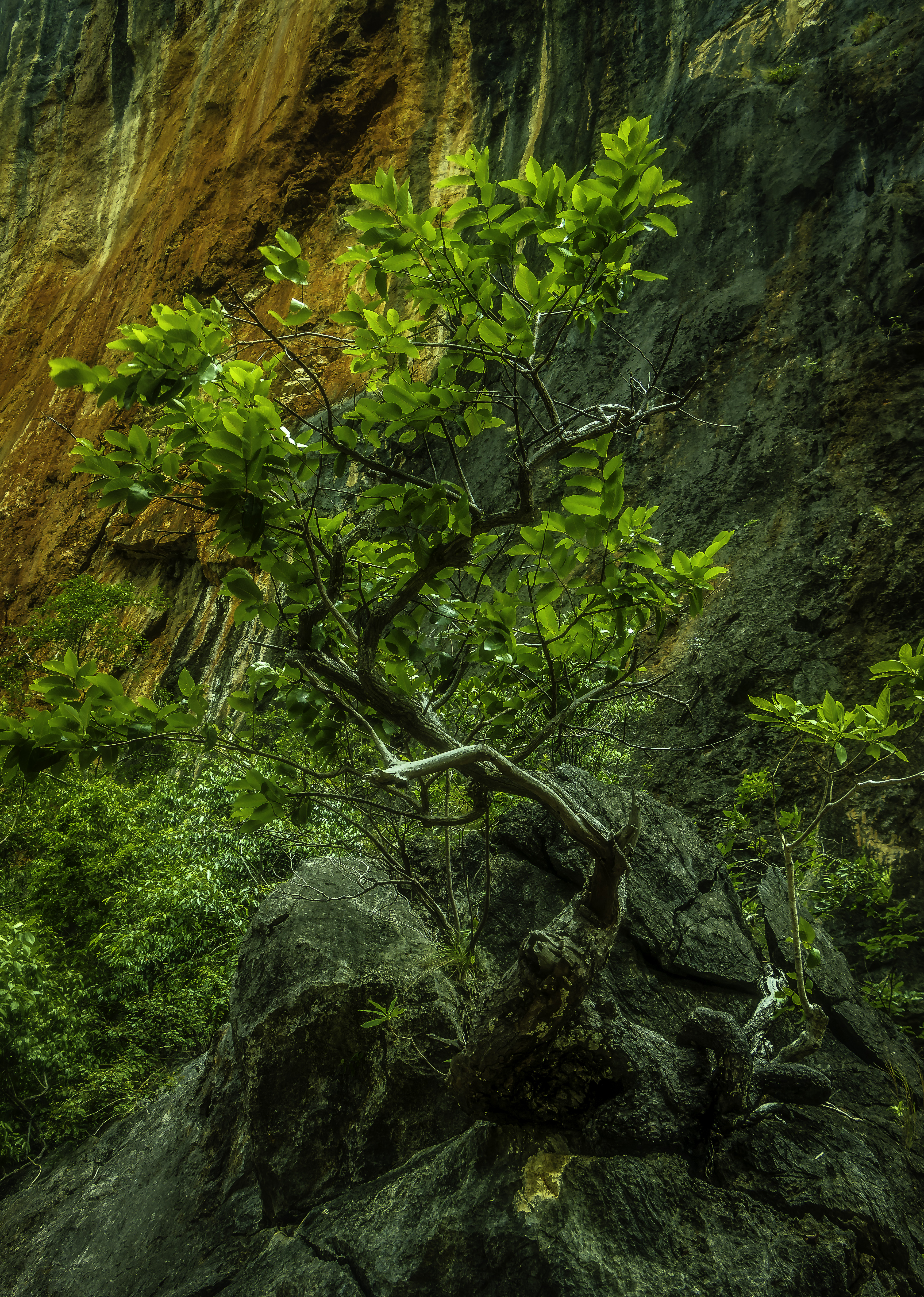 _MG_4303-Edit.JPG