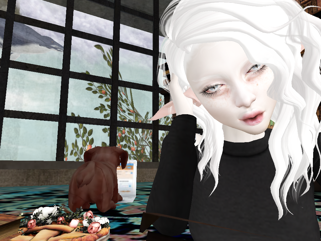Snapshot_002.png