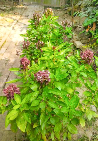 130464741.jpg