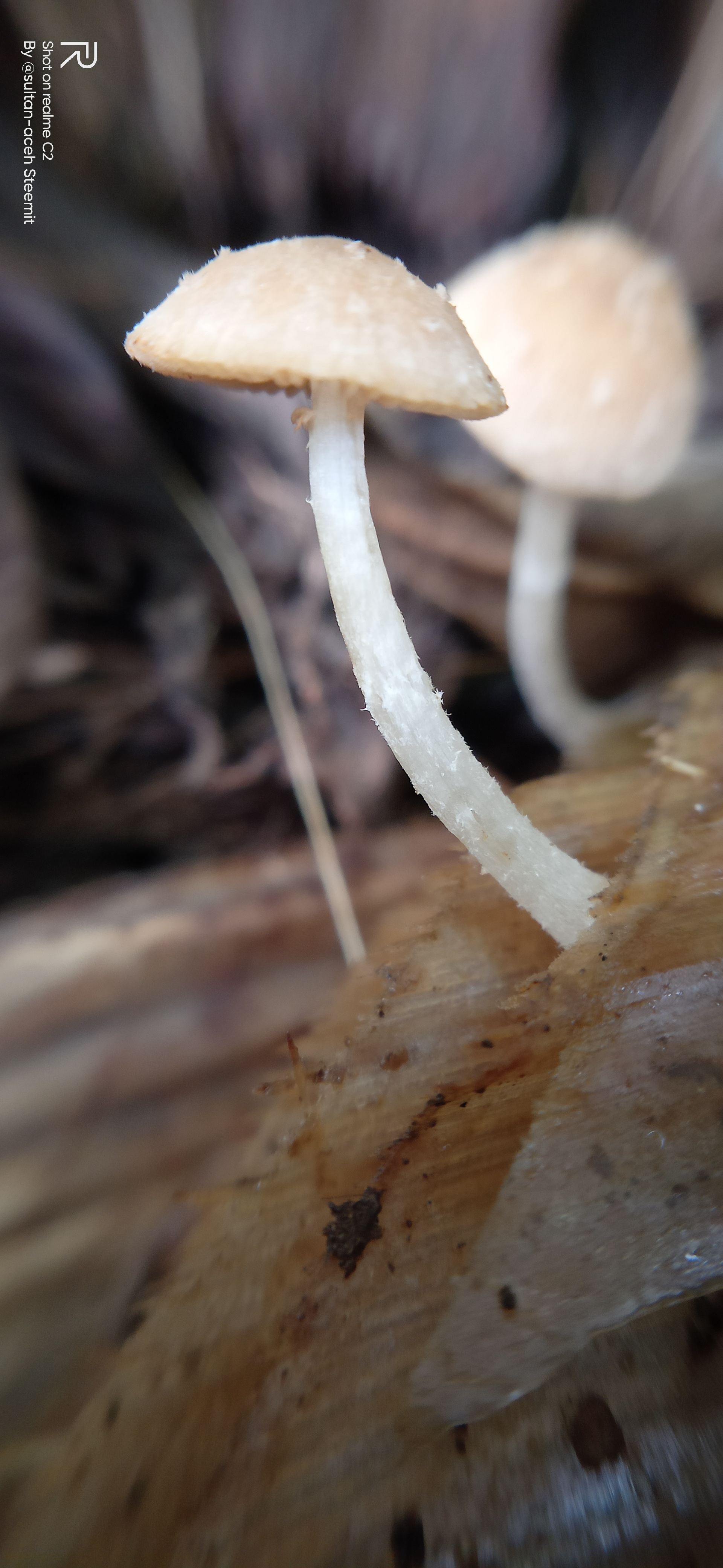 IMG20221002165335.jpg