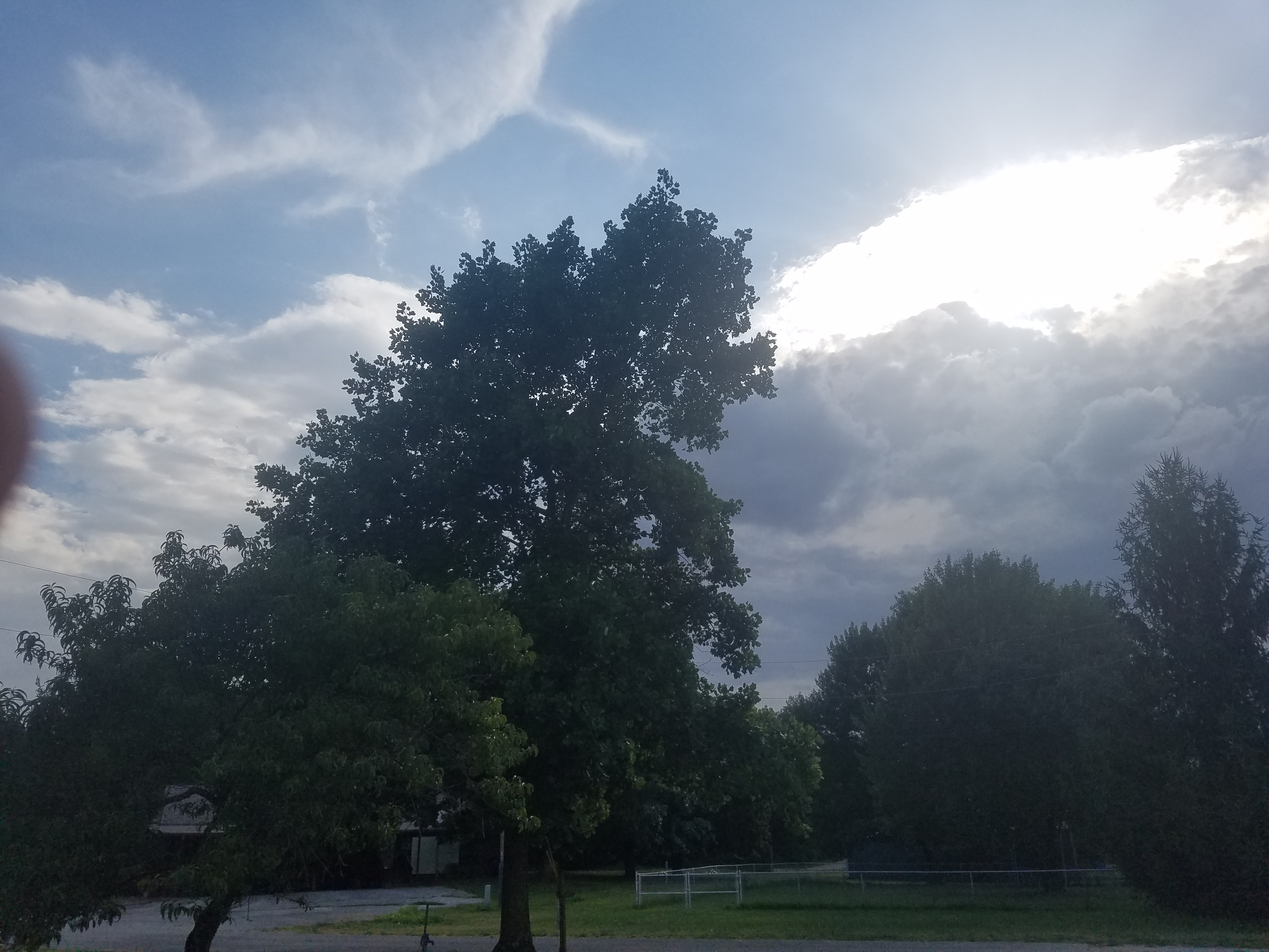 20180714_174954.jpg