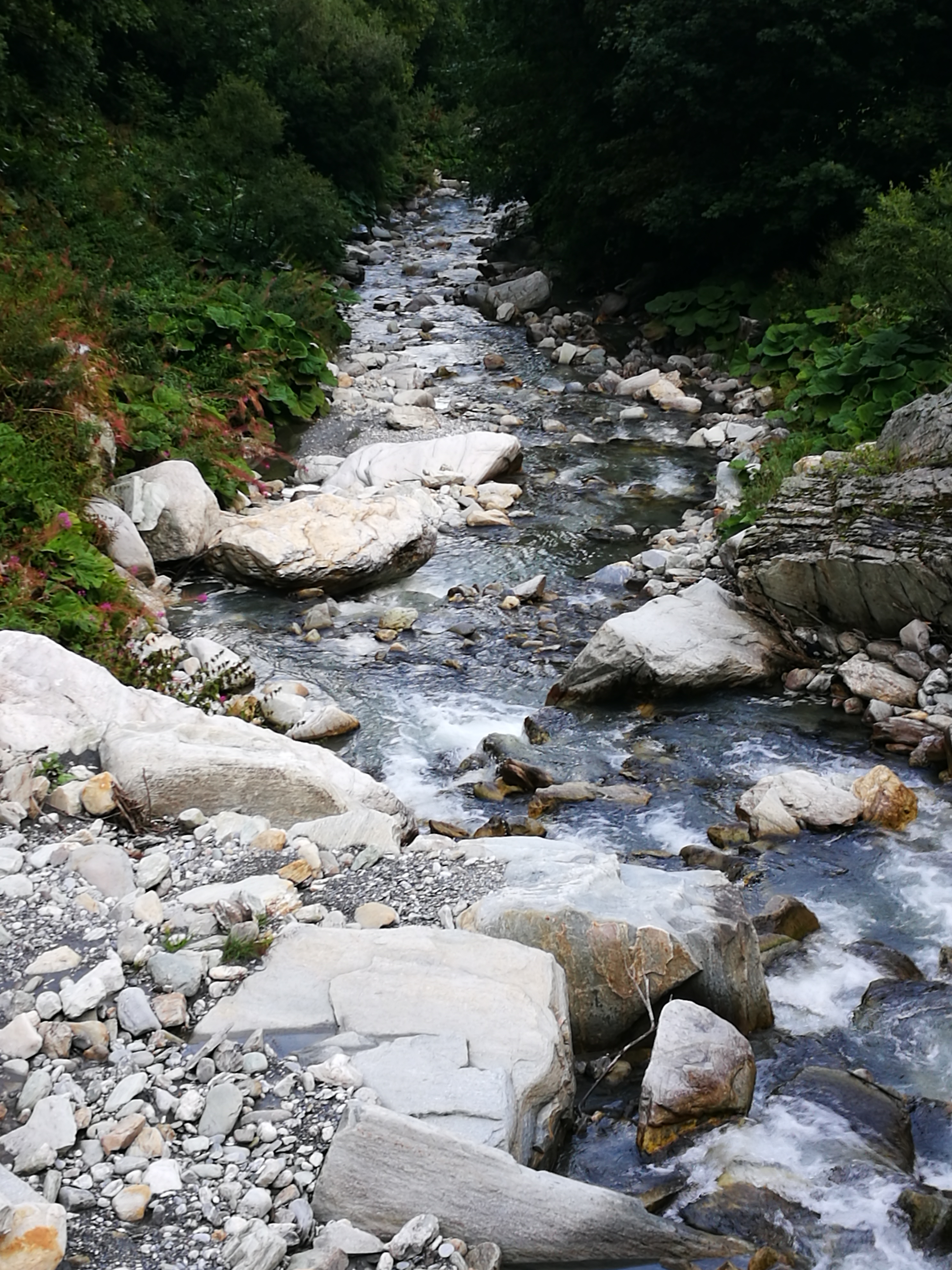 IMG_20190829_185213.jpg