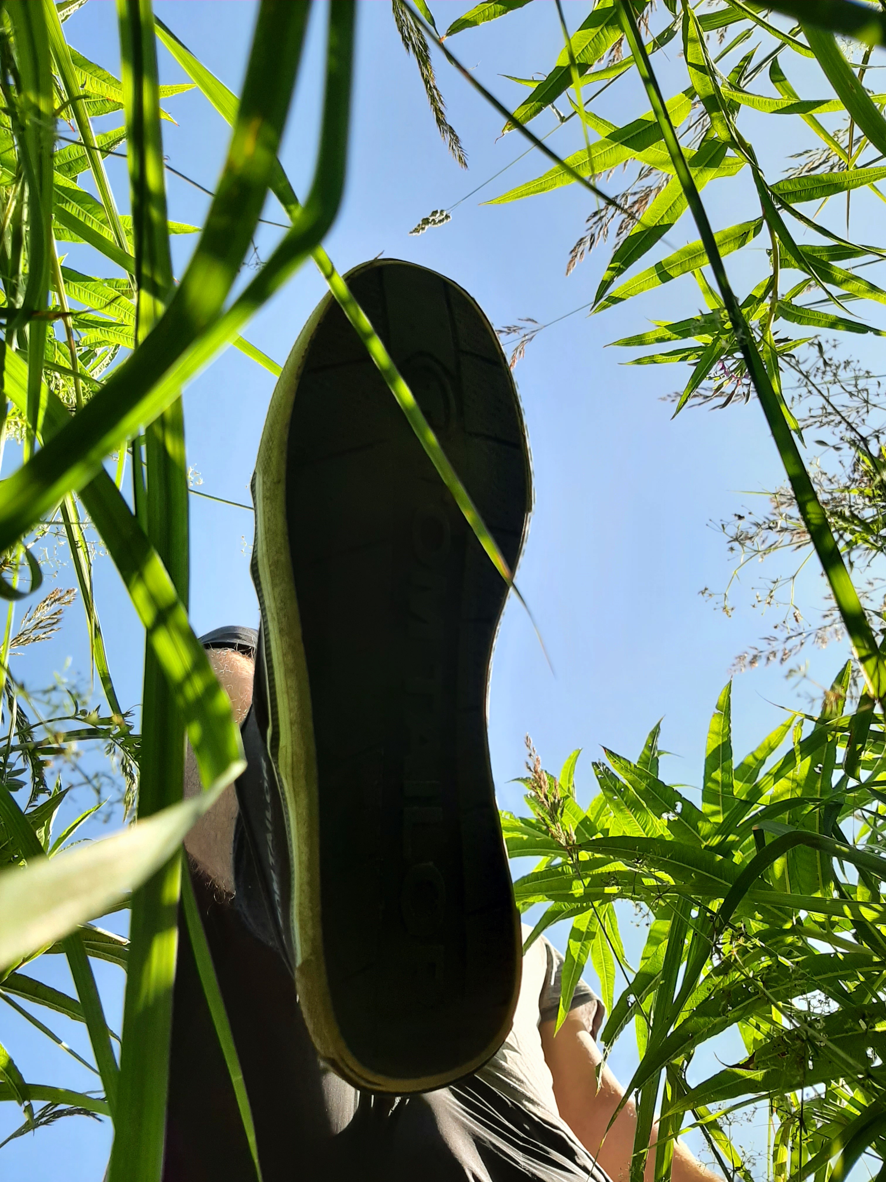 20260716_103834.jpg