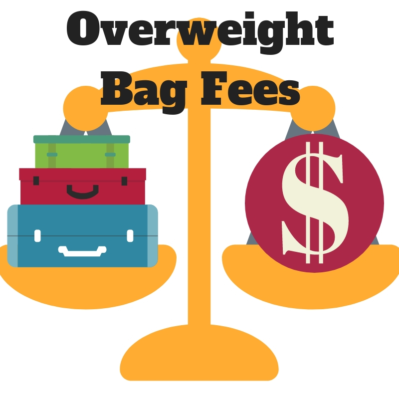 Buy Ba01/woven Bag,beach Bag , Oversized Bag,straw Bag , Natural Bag,bali  Bag,raffia Online in India - Etsy