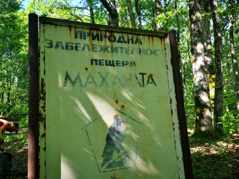 1-100.jpg