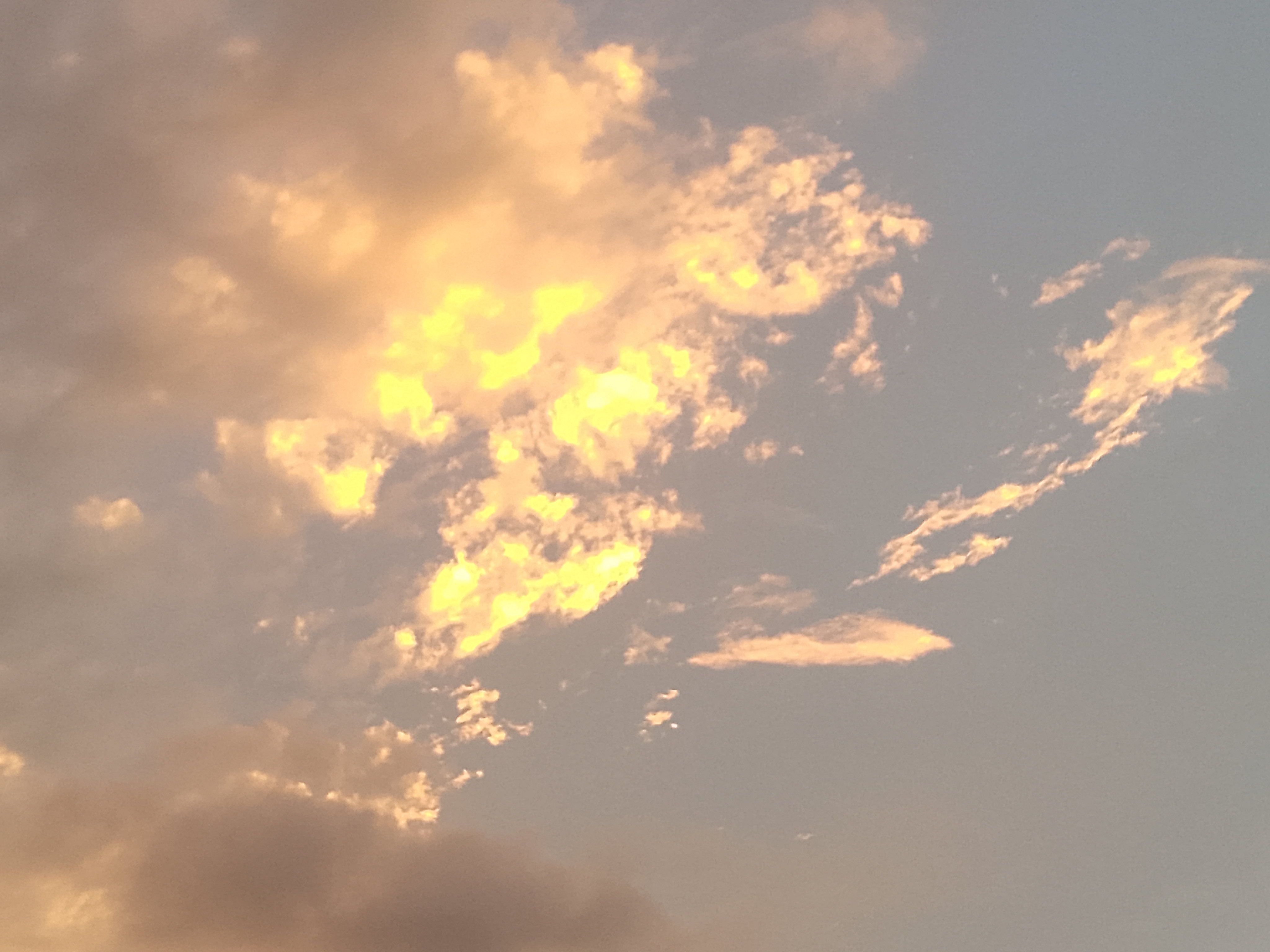 FotoGrid_20260622_205456950.jpg
