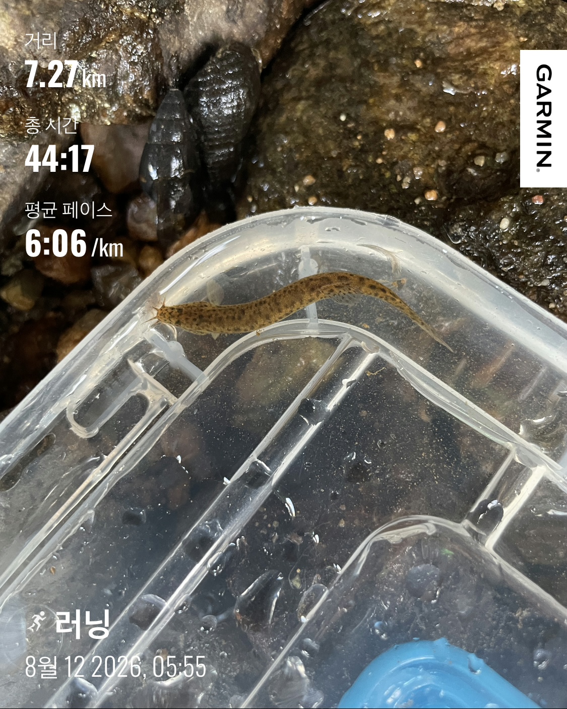 KakaoTalk_20260812_150530783.jpg