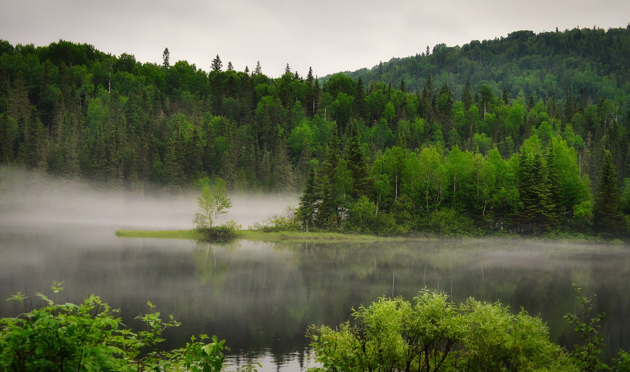 landscape-7280867_1280 (1).jpg