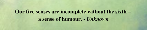 29.png