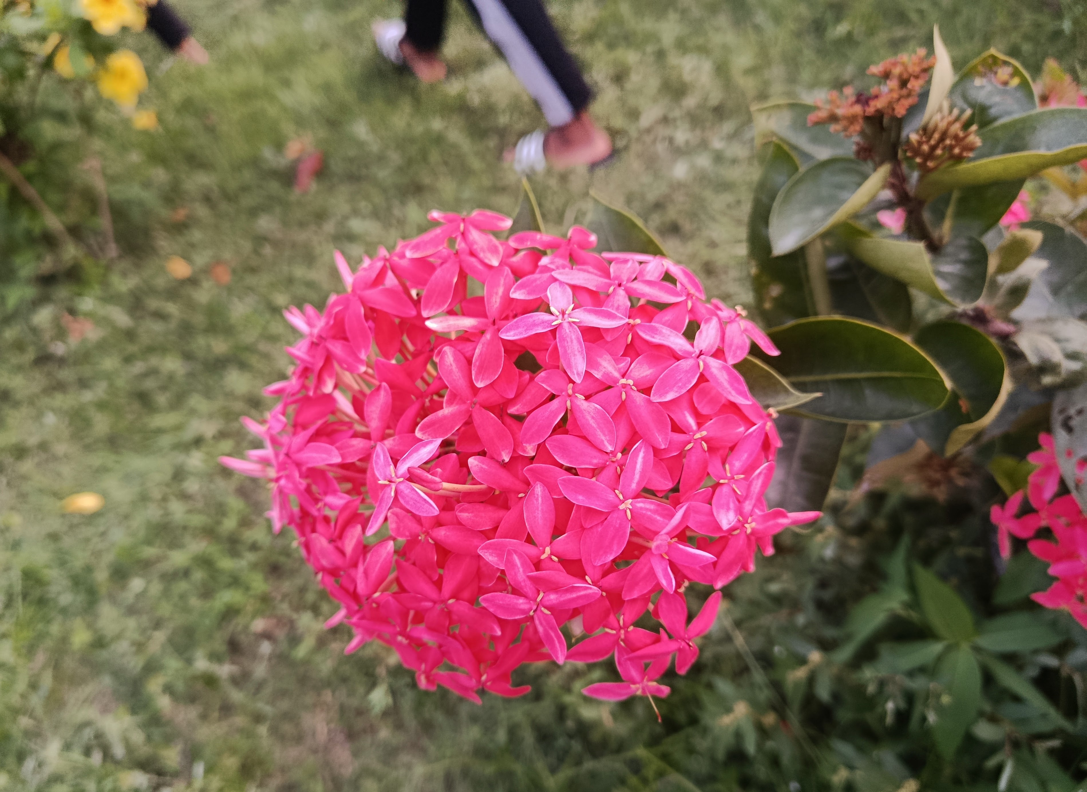 IMG_20260601_181917.jpg
