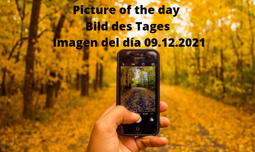 Kein Bild