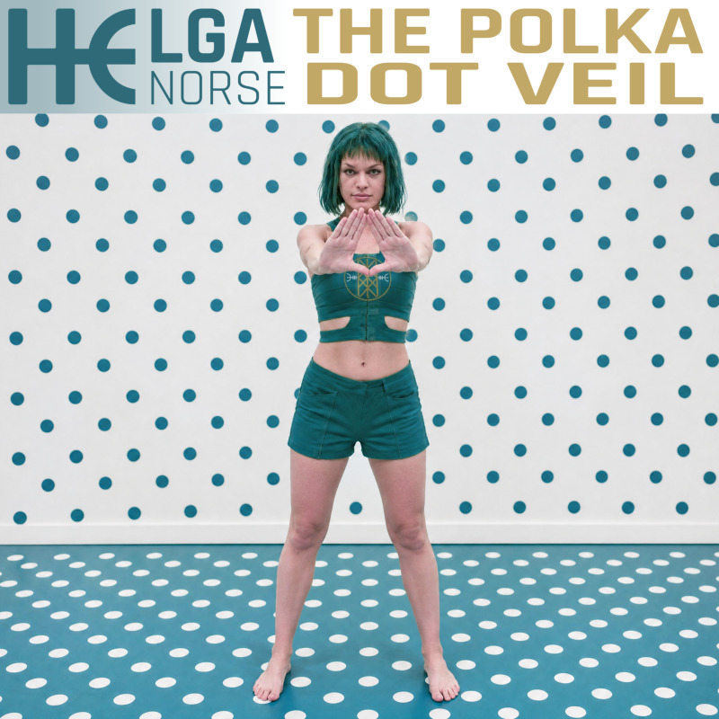 the-polka-dot-veil_800.jpg