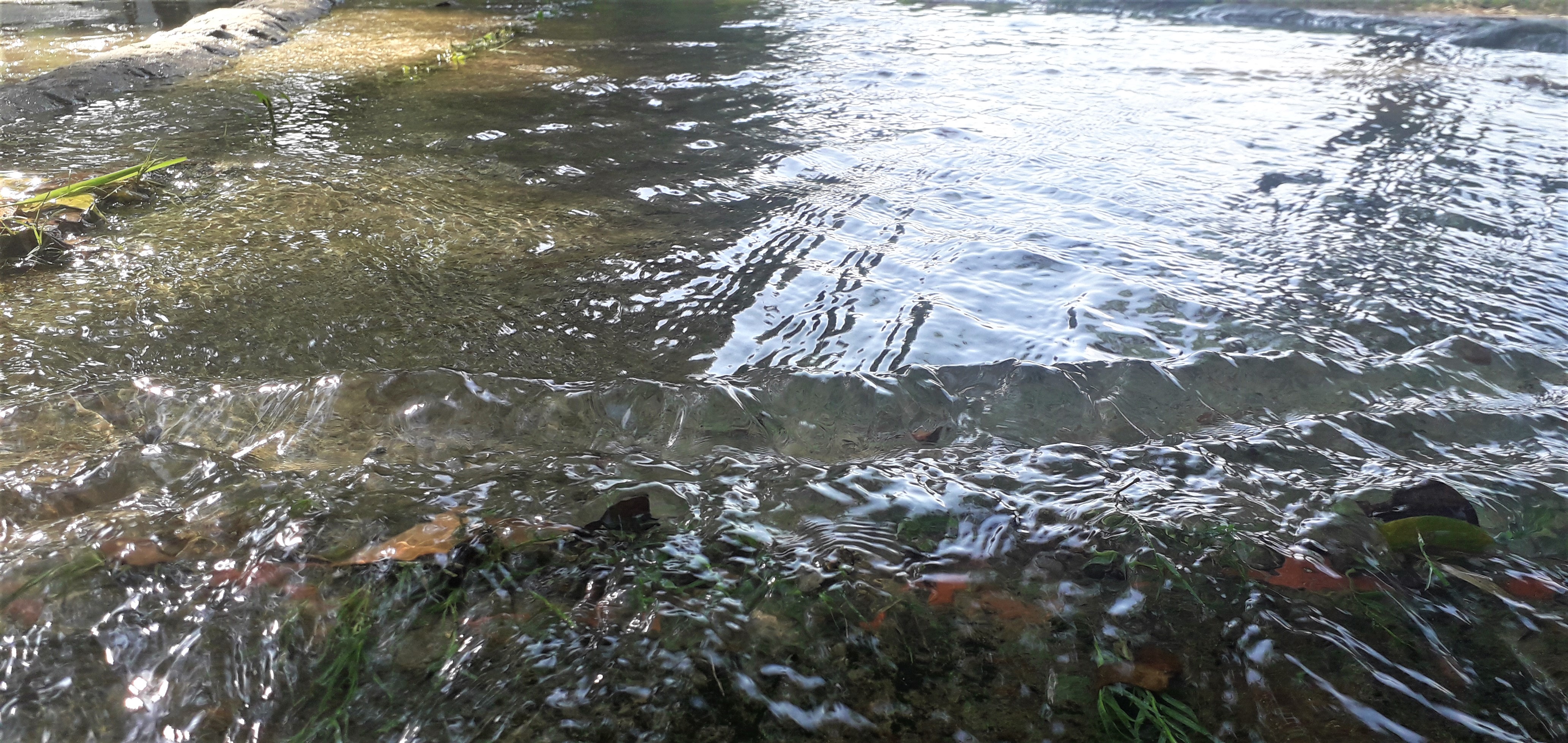 20201031_140717.jpg