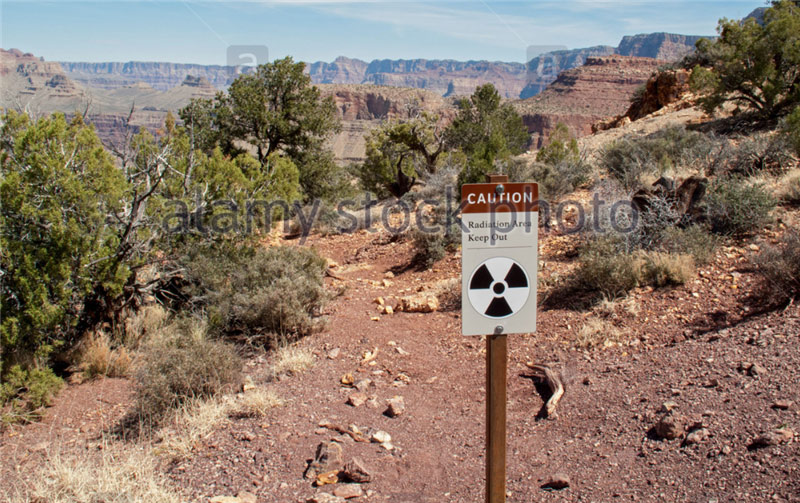 photo 9.jpg