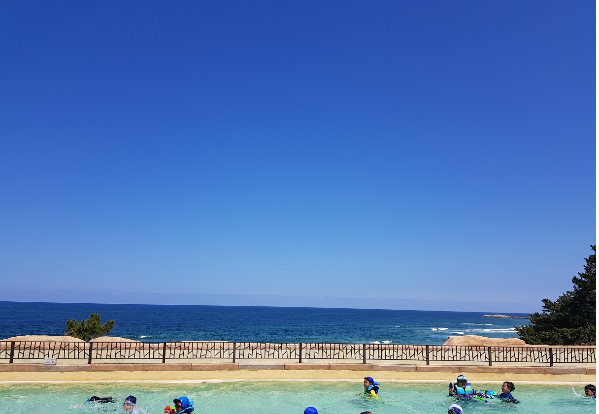 20180616_140624.jpg