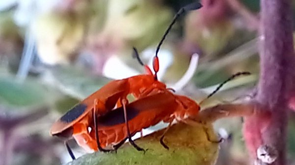 20220311_171621.jpg