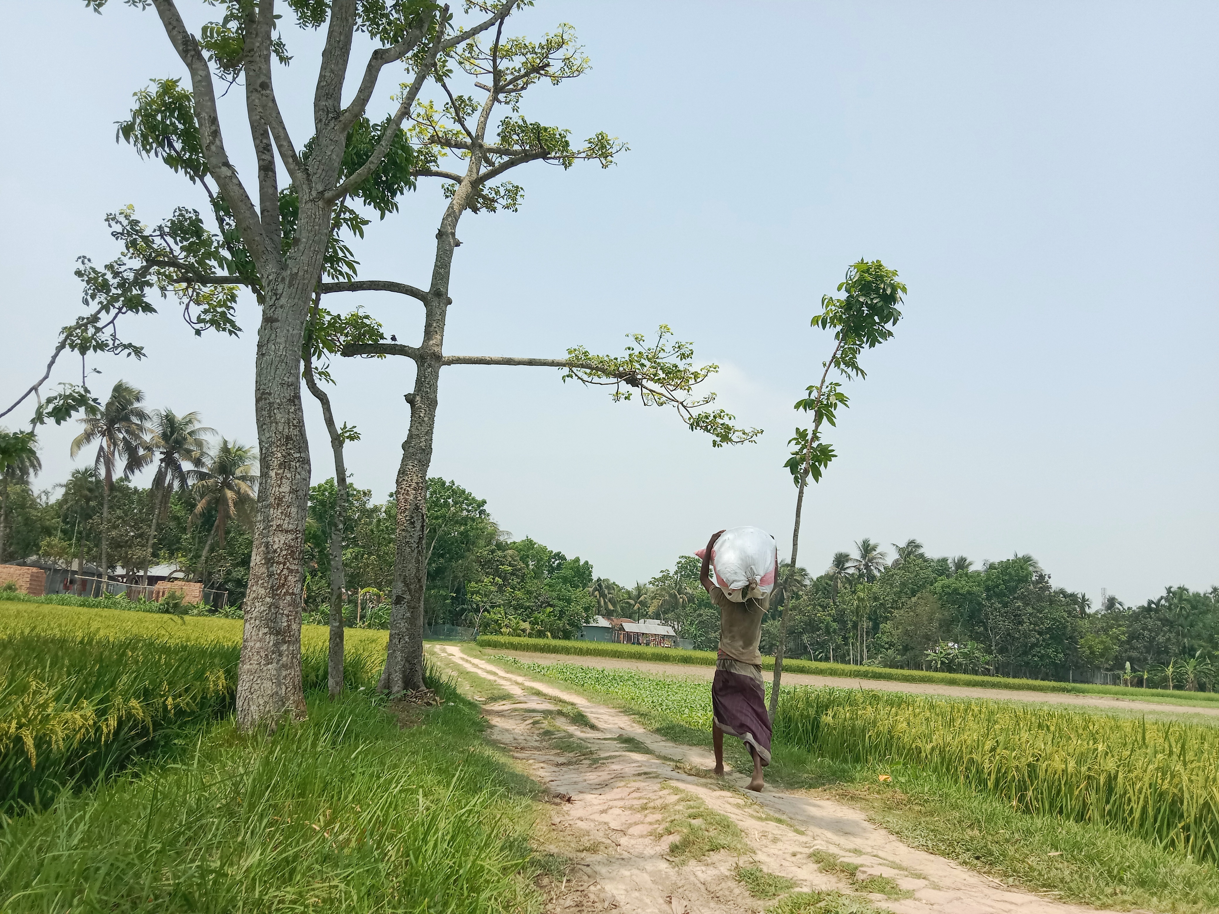 IMG_20260501_220057.jpg