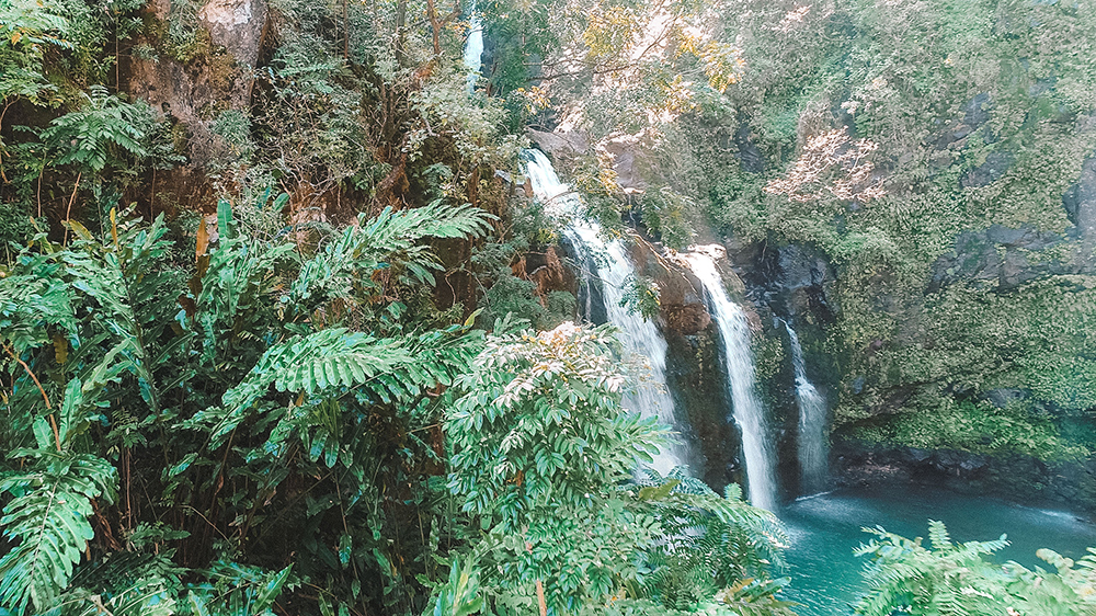 Maui-Road-to-Hana-1.jpg