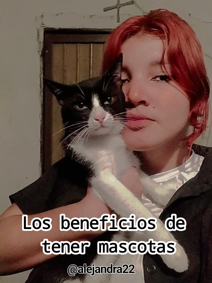 291 sin título_20230129220532.png