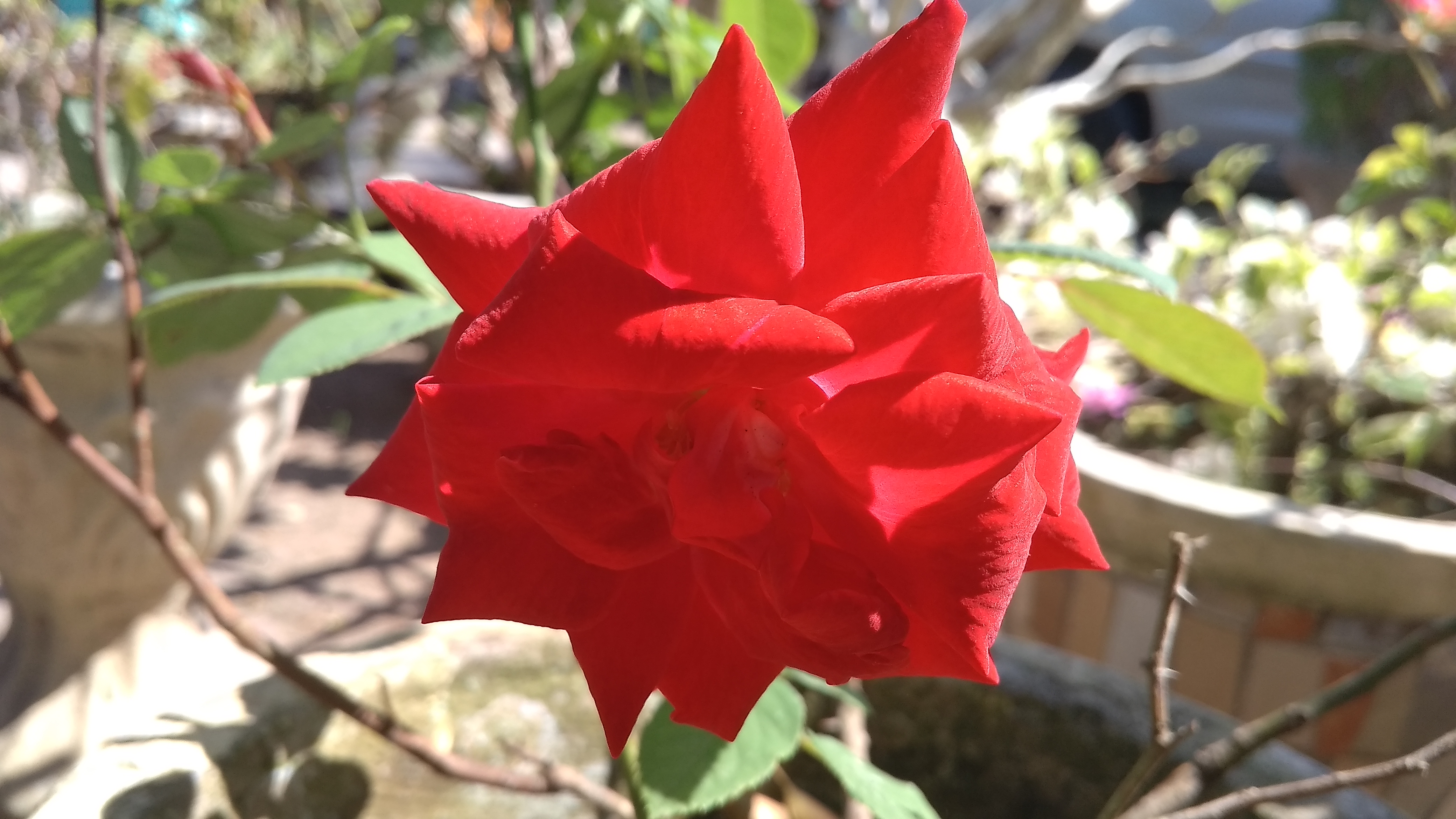 IMG_20210309_101925.jpg