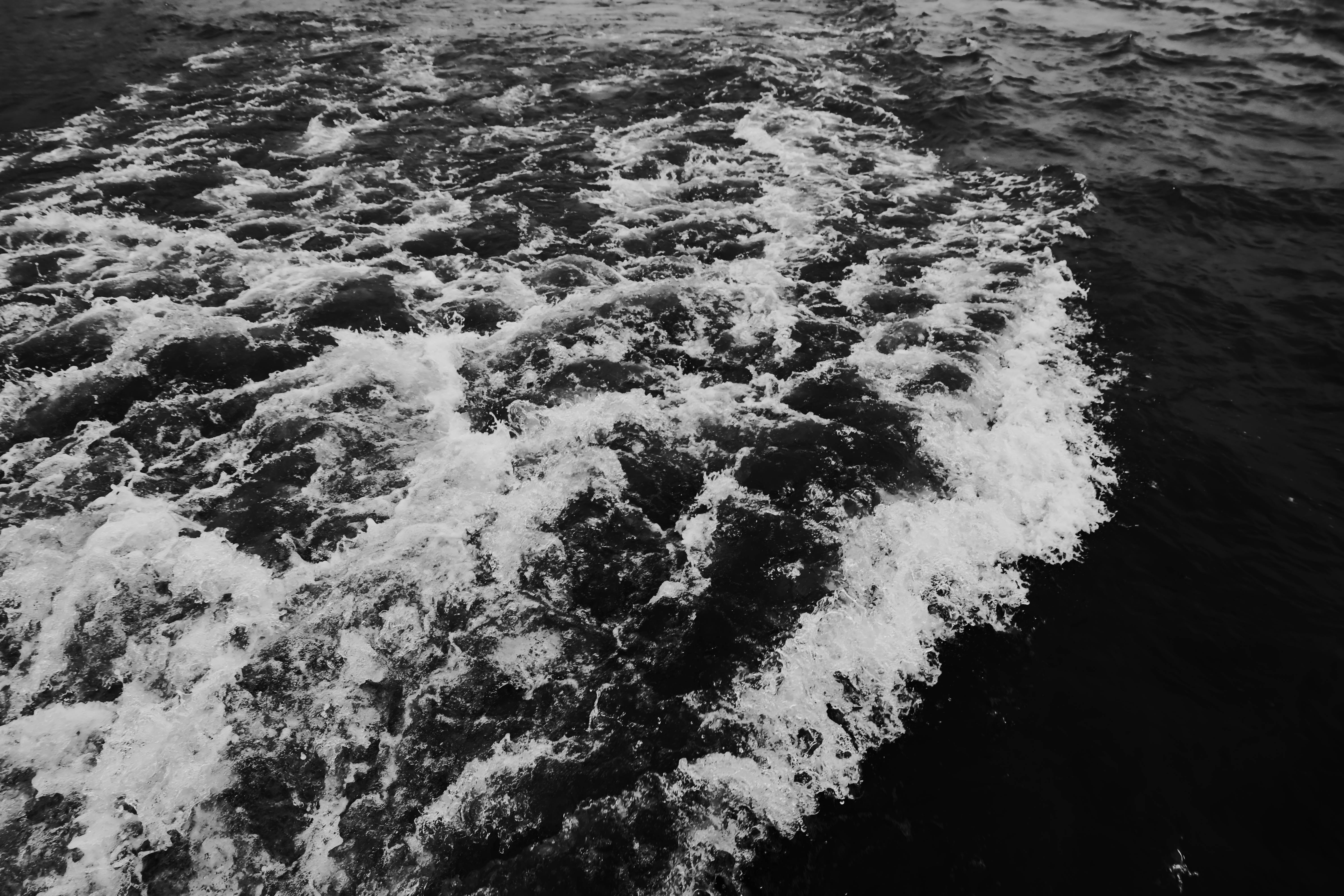 DSCF1587.jpg