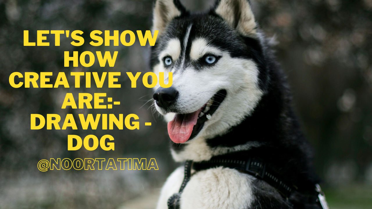 Let's show how creative you are- Drawing - Dog (1).png
