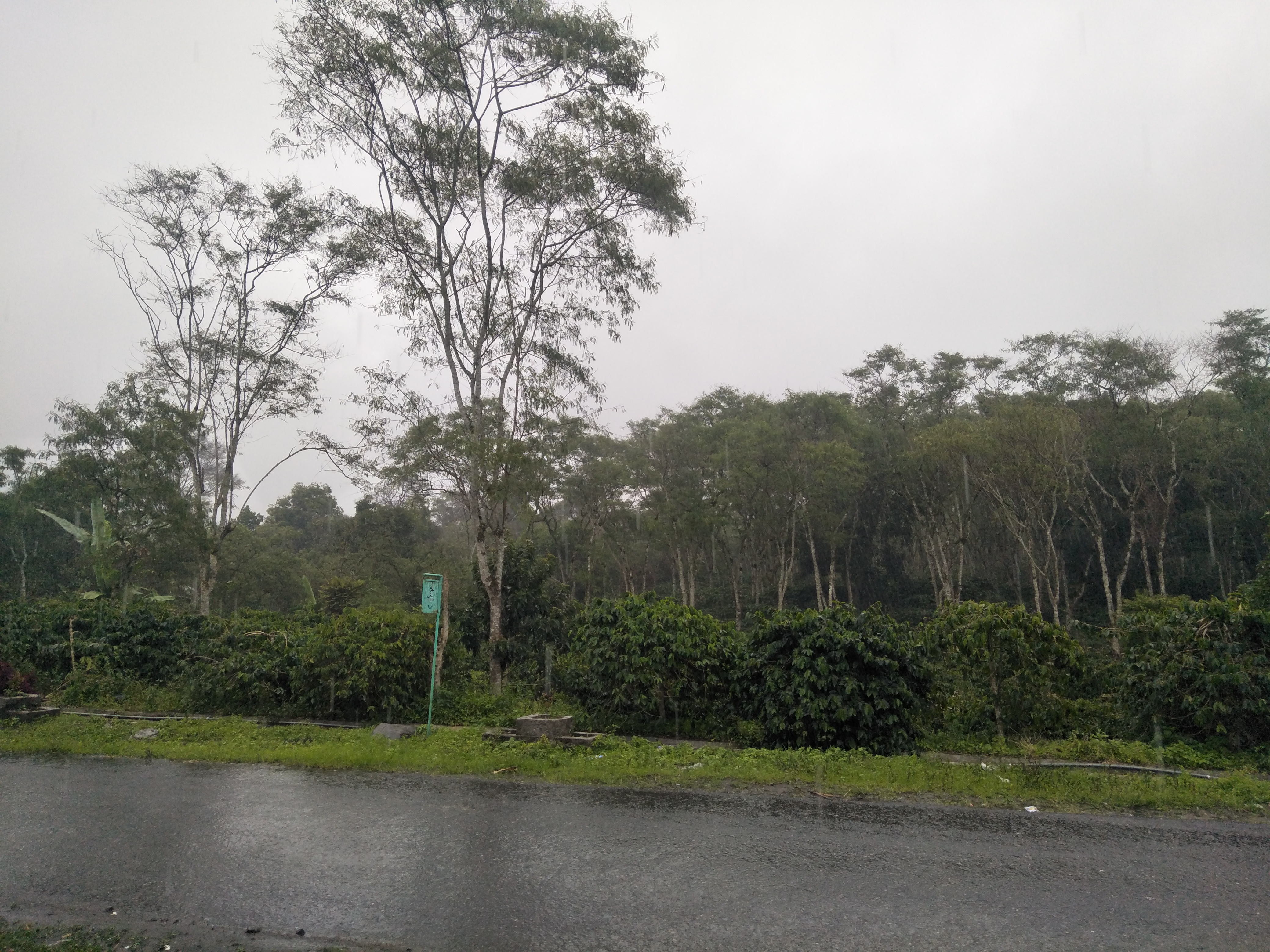 IMG20210927164056.jpg